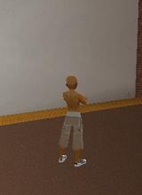 Guest_gatopardo77