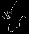 iamTHEmoose