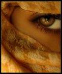 Guest_BarbiexEldalo0o3a