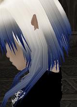 Guest_Yuu123