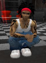 Guest_GoosemanX