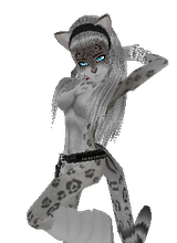 MissKittyDark