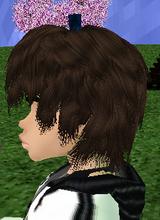 Guest_Rubecool
