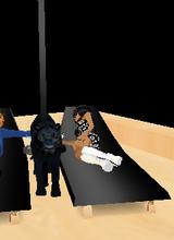 Guest_principessaisabe