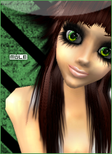 Mule