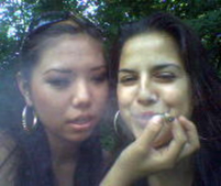 Guest_angelspanishfly
