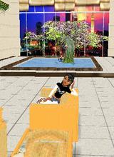 Guest_evelynjinnettemota