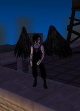 Guest_polometal