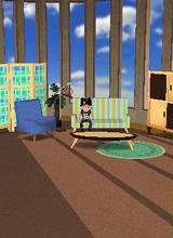 Guest_starcheerleader15