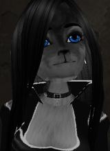 Guest_Wolfgirl50