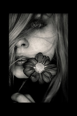 Guest_QuixoticRose
