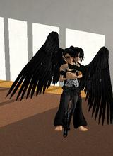 Guest_Appleman16
