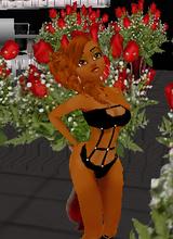 Senecerely