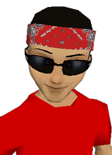 westsidegdog