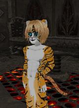 Guest_WuShu1313