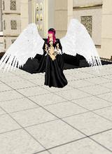 Guest_felicia2212