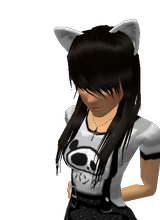Guest_tacos569x