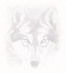 Firewolf2386
