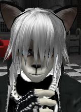 Guest_Kolo997
