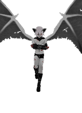 darkkfoxx