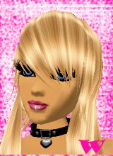 Guest_wildbeest1
