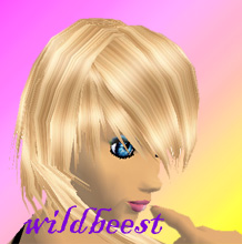 Guest_wildbeest1
