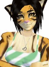 Kittsa2x4