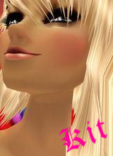 Guest_kit115