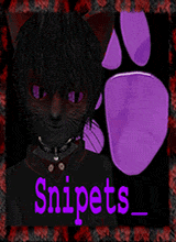 Snipets
