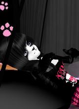 Guest_ClassicPanda
