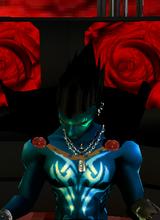 RayTailor