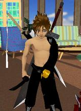 Guest_SoulreaperN2