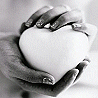 Guest_sophive