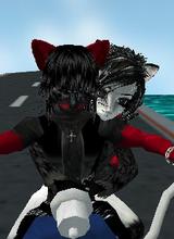XFoxen88X_disabled_24964988