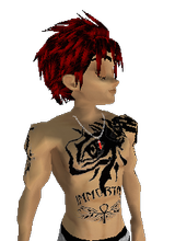avatar picture