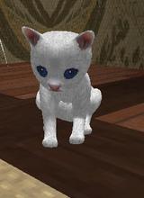 Guest_es1222