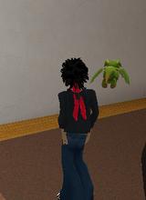 Guest_gabbozzz