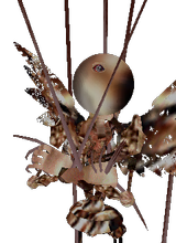 Guest_0oPuppetMastero0