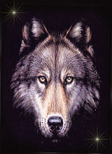 SgtLobo