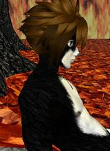 Avatar pic