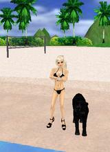 Guest_linxlin