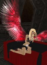 Guest_Cindu95
