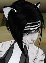 Guest_Aidansu