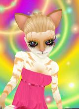 Guest_Kitty5o