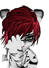 Guest_Nervbear90