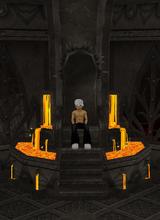 Guest_own3