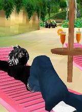 Guest_Skullpunk561