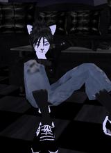 Guest_AnimeFoxVerek
