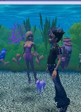 Guest_JimmyMan