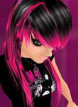 Guest_sum41punket